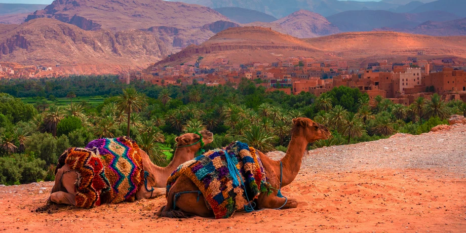 شروط السفر للمغرب من السعودية – أهم الشروط لرحلة سياحية ممتعة
